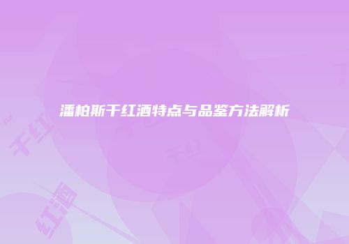 潘柏斯干红酒特点与品鉴方法解析