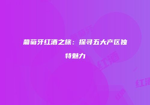 葡萄牙红酒之旅：探寻五大产区独特魅力