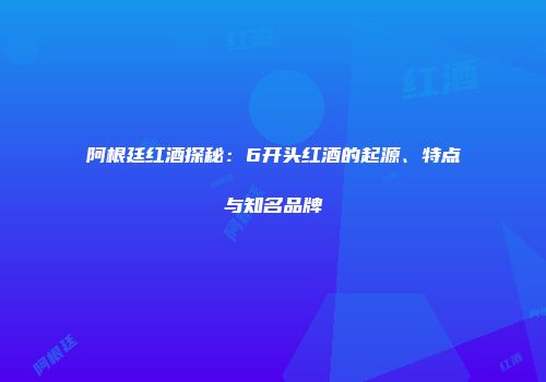 阿根廷红酒探秘：6开头红酒的起源、特点与知名品牌