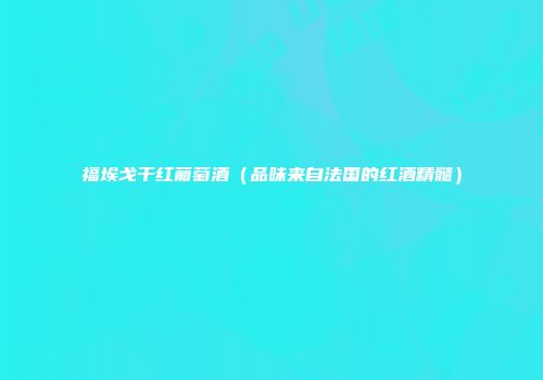 福埃戈干红葡萄酒（品味来自法国的红酒精髓）