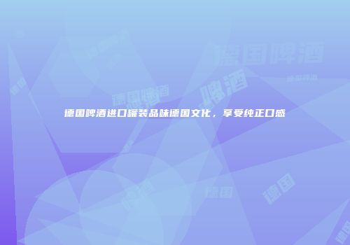 德国啤酒进口罐装品味德国文化，享受纯正口感