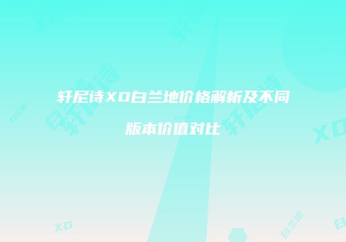 轩尼诗XO白兰地价格解析及不同版本价值对比