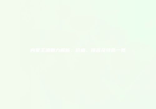 内蒙王酒魅力解析：价格、排名及特色一览