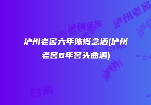泸州老窖六年陈概念酒(泸州老窖6年窖头曲酒)