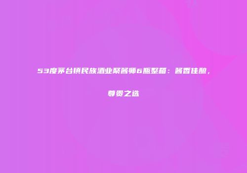 53度茅台镇民族酒业聚酱师6瓶整箱：酱香佳酿，尊贵之选