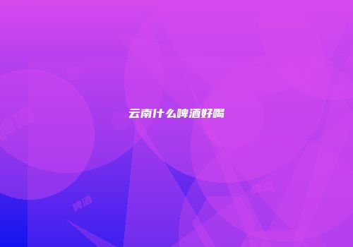 云南什么啤酒好喝