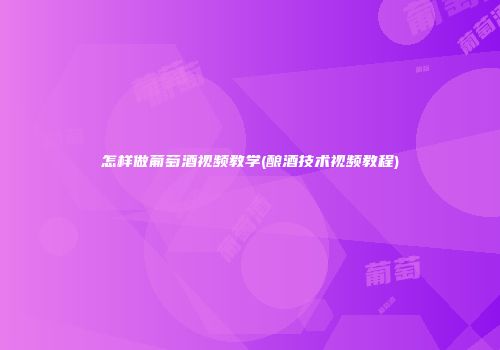 怎样做葡萄酒视频教学(酿酒技术视频教程)