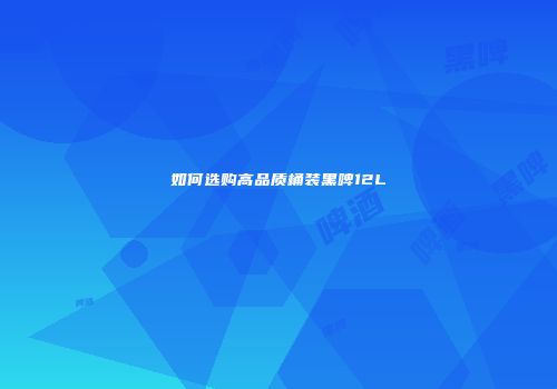 如何选购高品质桶装黑啤12L