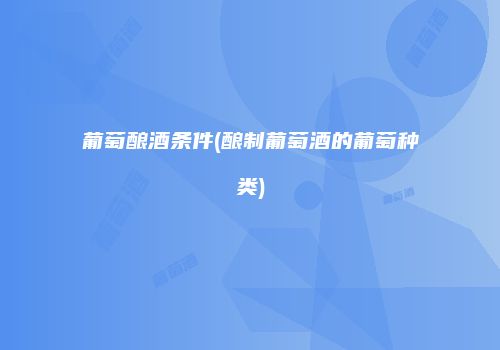 葡萄酿酒条件(酿制葡萄酒的葡萄种类)