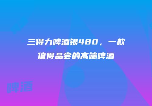 三得力啤酒银480，一款值得品尝的高端啤酒