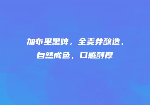 加布里黑啤，全麦芽酿造，自然成色，口感醇厚