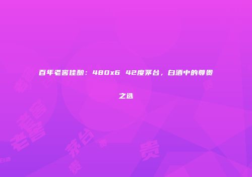 百年老窖佳酿：480x6 42度茅台，白酒中的尊贵之选