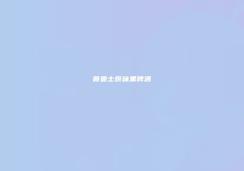 普鲁士原味黑啤酒