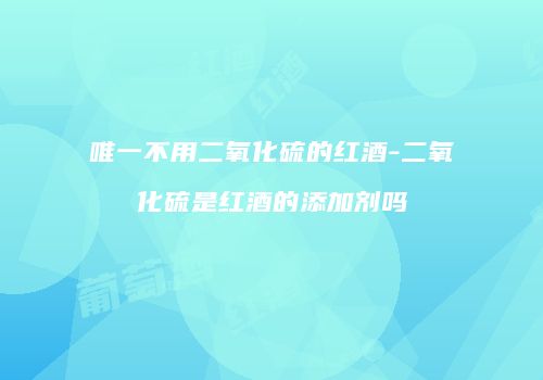 唯一不用二氧化硫的红酒-二氧化硫是红酒的添加剂吗