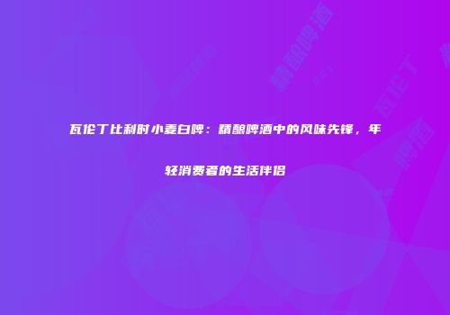 瓦伦丁比利时小麦白啤：精酿啤酒中的风味先锋，年轻消费者的生活伴侣