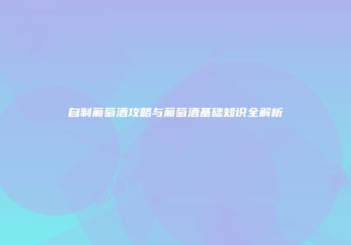 自制葡萄酒攻略与葡萄酒基础知识全解析