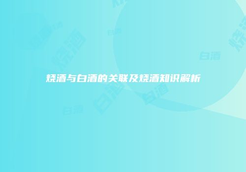 烧酒与白酒的关联及烧酒知识解析