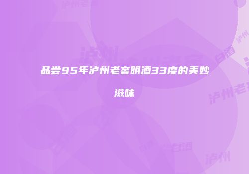 品尝95年泸州老窖明酒33度的美妙滋味