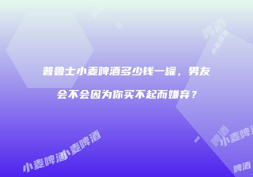 普鲁士小麦啤酒多少钱一罐，男友会不会因为你买不起而嫌弃？