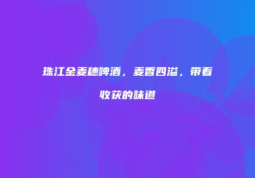 珠江金麦穗啤酒，麦香四溢，带着收获的味道