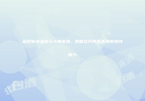 品尝衡水孟状元小黄米酒，领略北方传统美酒的独特魅力