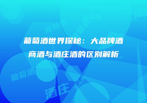 葡萄酒世界探秘：大品牌酒商酒与酒庄酒的区别解析