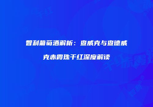 智利葡萄酒解析：查威克与查德威克赤霞珠干红深度解读