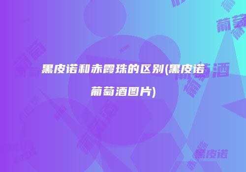 黑皮诺和赤霞珠的区别(黑皮诺葡萄酒图片)