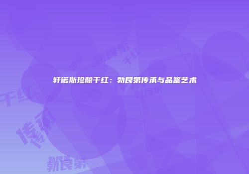 轩诺斯珍酿干红：勃艮第传承与品鉴艺术