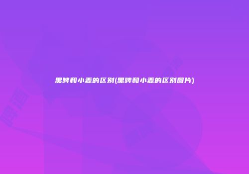 黑啤和小麦的区别(黑啤和小麦的区别图片)