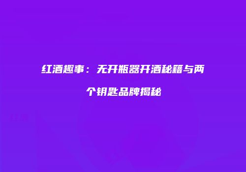 红酒趣事：无开瓶器开酒秘籍与两个钥匙品牌揭秘