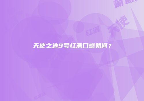 天使之选9号红酒口感如何？