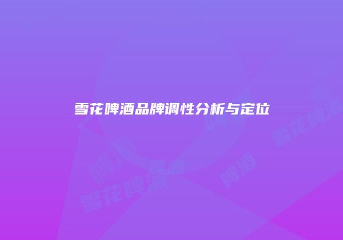 雪花啤酒品牌调性分析与定位
