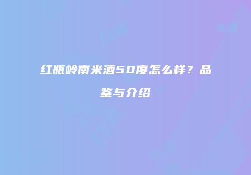 红瓶岭南米酒50度怎么样？品鉴与介绍