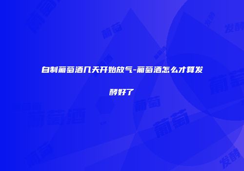 自制葡萄酒几天开始放气-葡萄酒怎么才算发酵好了