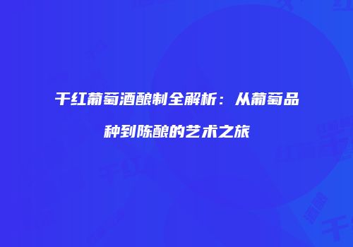 干红葡萄酒酿制全解析：从葡萄品种到陈酿的艺术之旅