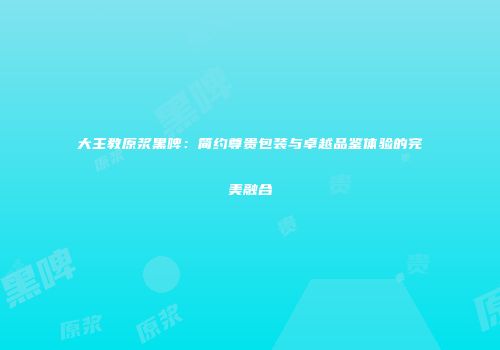 大主教原浆黑啤：简约尊贵包装与卓越品鉴体验的完美融合