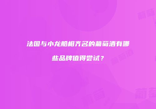 法国与小龙船相齐名的葡萄酒有哪些品牌值得尝试？