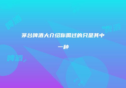 茅台啤酒大介绍你喝过的只是其中一种