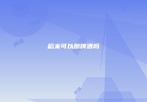 稻米可以酿啤酒吗