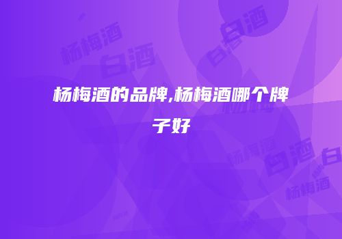 杨梅酒的品牌,杨梅酒哪个牌子好