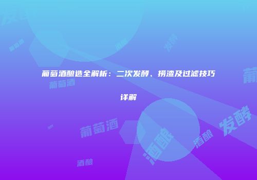 葡萄酒酿造全解析：二次发酵、捞渣及过滤技巧详解