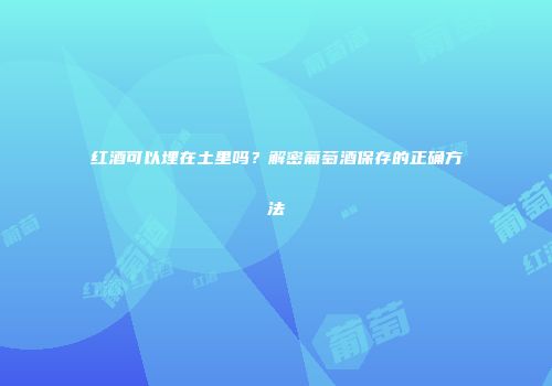 红酒可以埋在土里吗？解密葡萄酒保存的正确方法