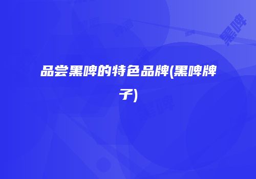 品尝黑啤的特色品牌(黑啤牌子)