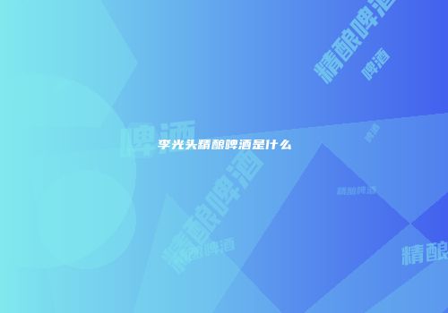 李光头精酿啤酒是什么