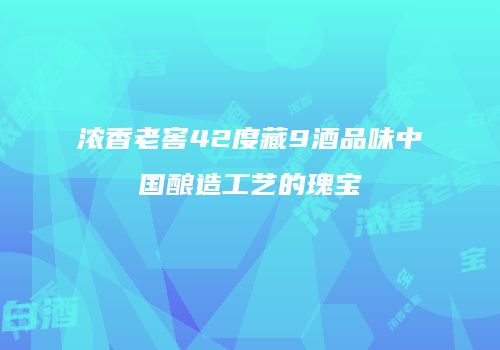 浓香老窖42度藏9酒品味中国酿造工艺的瑰宝