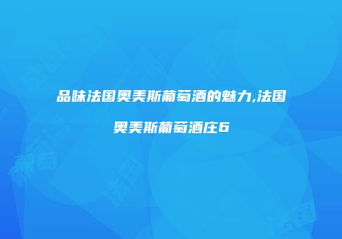 品味法国奥美斯葡萄酒的魅力,法国奥美斯葡萄酒庄6