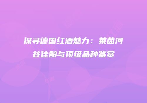 探寻德国红酒魅力：莱茵河谷佳酿与顶级品种鉴赏