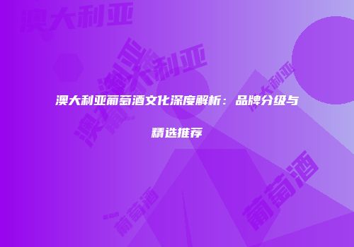 澳大利亚葡萄酒文化深度解析：品牌分级与精选推荐