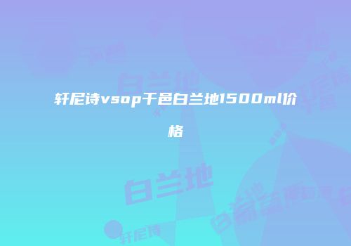 轩尼诗vsop干邑白兰地1500ml价格